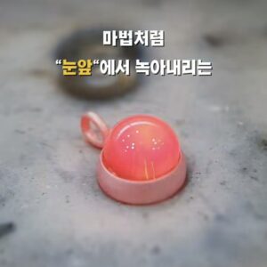 KakaoTalk_20260804_082124635_12